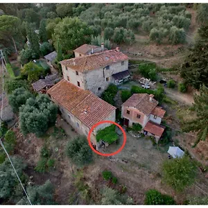 L'orto Dei Bruchi Collodi